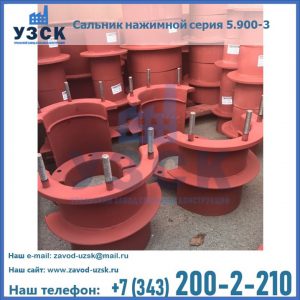 Сальники нажимные серия 5.900-3 в Октябрьском